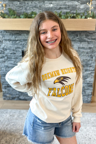 OHHS Falcon Head Pullover Sweatshirt