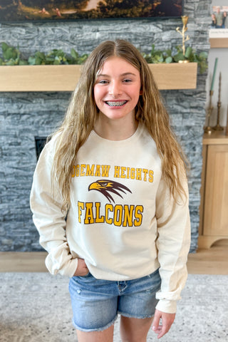 OHHS Falcon Head Pullover Sweatshirt