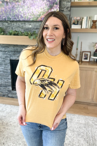 Watercolor Falcon Graphic Tee - Full Logo