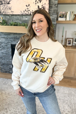 Watercolor Falcon Pullover Sweatshirt