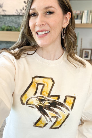 Watercolor Falcon Pullover Sweatshirt