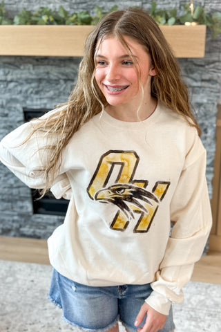 Watercolor Falcon Pullover Sweatshirt