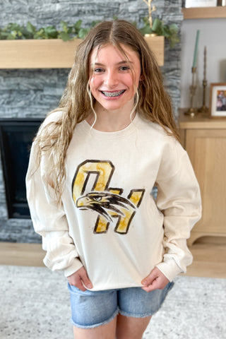 Watercolor Falcon Pullover Sweatshirt